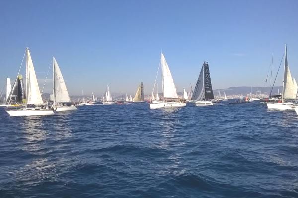 catamaran for events sailing in Port vell of Barcelona